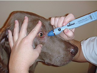Tonometr aplan. Tono-Pen Vet Tonometr aplan. Tono-Pen Vet