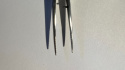 Moorfield Suture Forcep tweezers 10cm 032-590-100