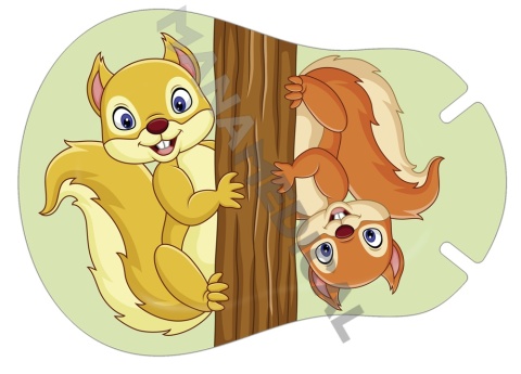 Ortopad DWIE WIEWIÓRKI JUNIOR