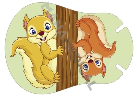 Ortopad DWIE WIEWIÓRKI JUNIOR