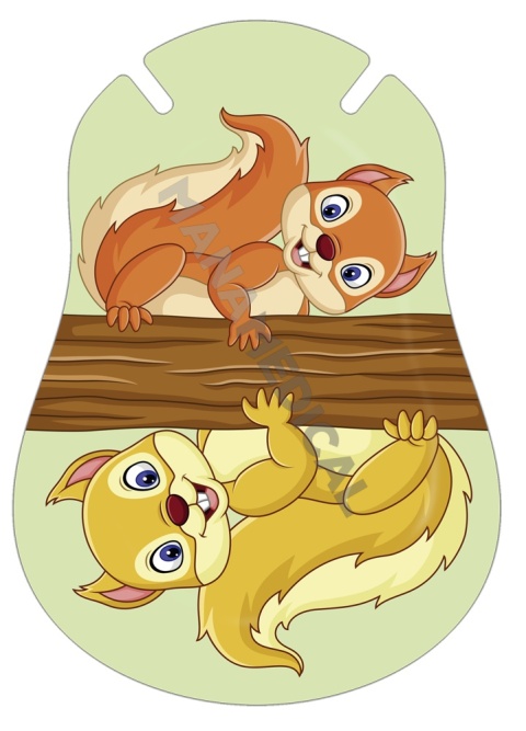 Ortopad DWIE WIEWIÓRKI MEDIUM